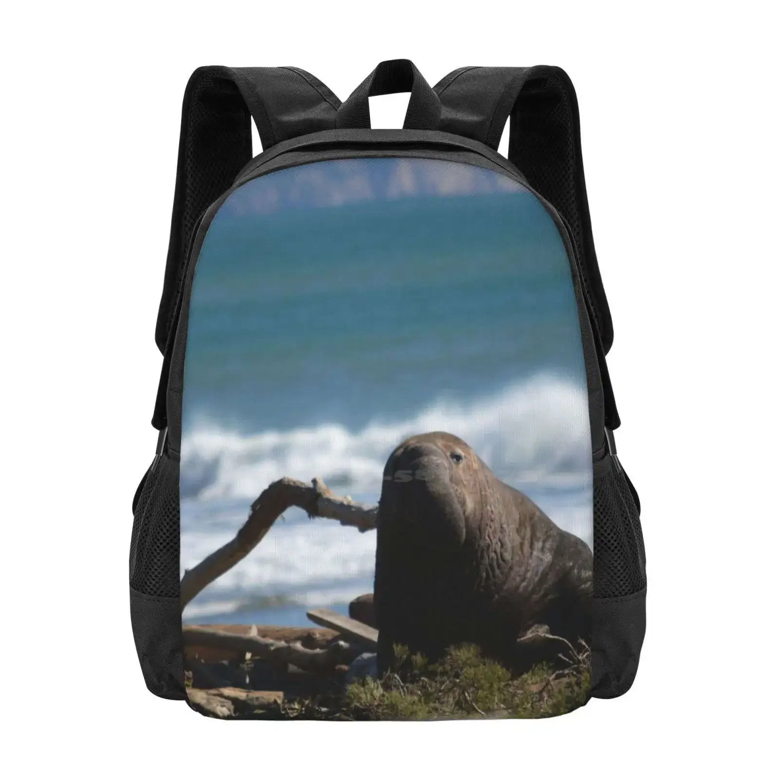 

Elephant Seal At Point Reyes Beach In Northern California Hot Sale Backpack Fashion Bags Elephant Seals Point Reyes California