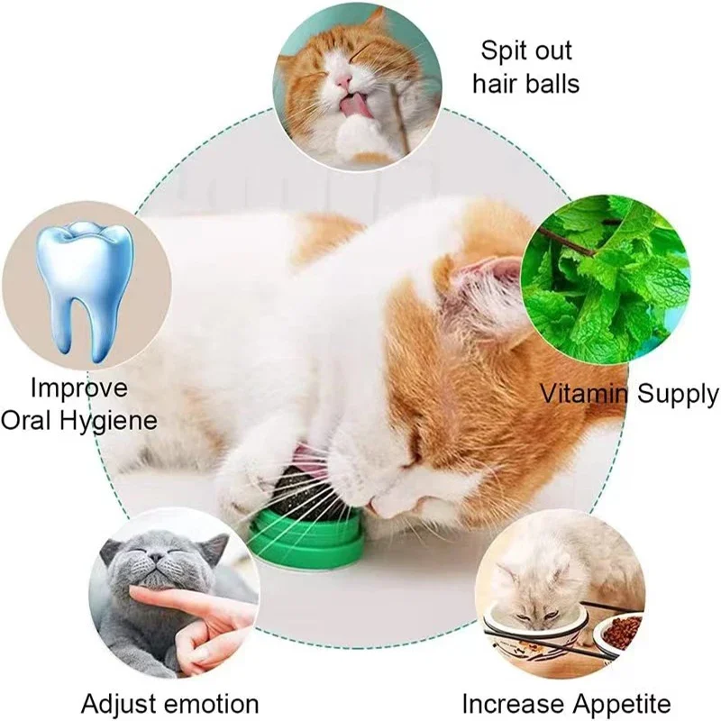 Catnip Cat Toys Pet Toys for Cats Kitten Candy Licking Snacks Mint Ball Wall Ball Clean Mouth Promote Digestion Cat Accessories