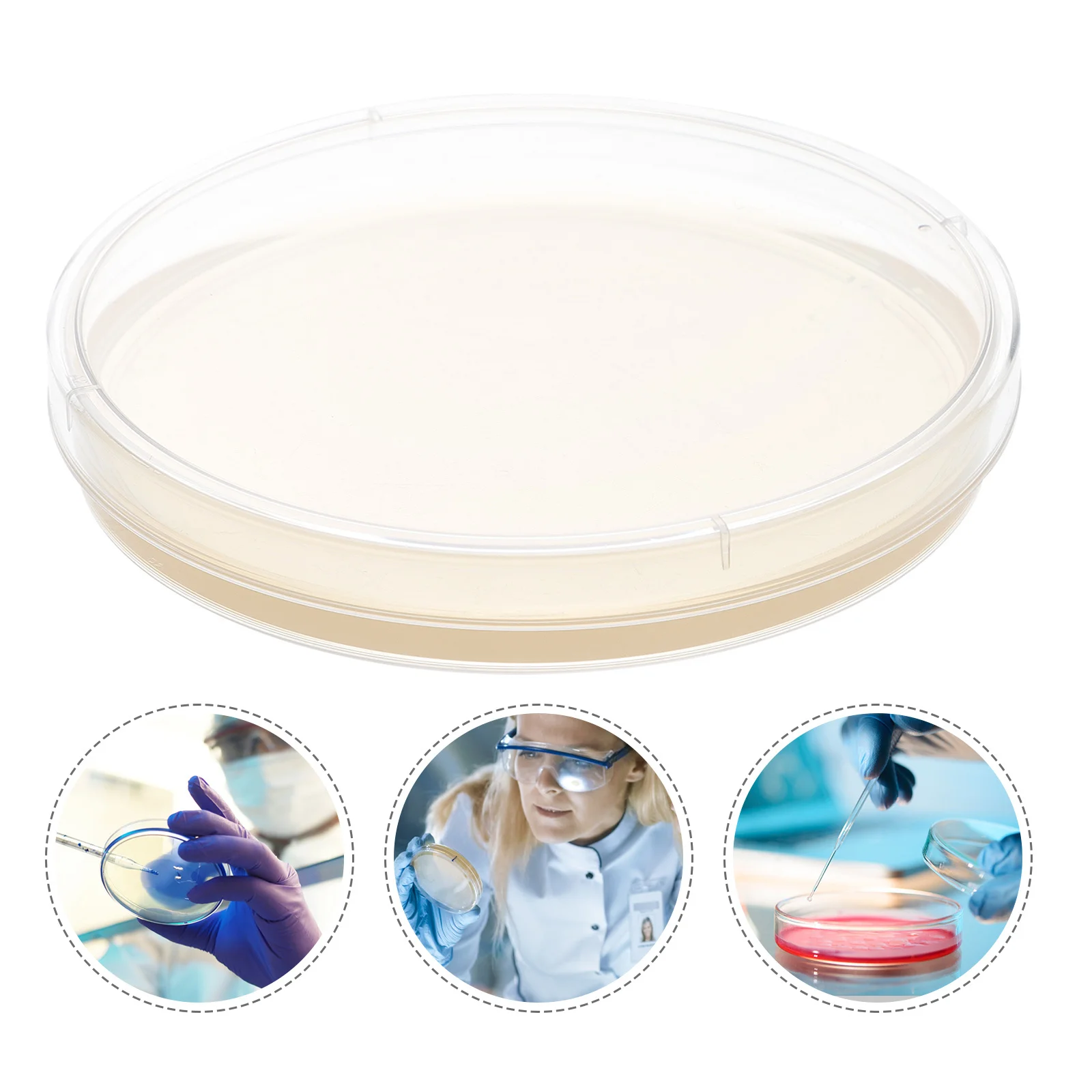 10Pcs Agar Plates Pre-Poured Fresh Growth Medium Lab Petri Dishes Science Experiment Culture Storage Isolation