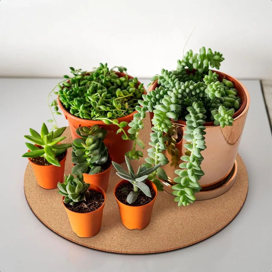 Leinuosen 2 قطعة 16 بوصة كبيرة الفلين الوقايات النباتية طبقات مزدوجة ماصة الفلين داخلي النبات حصيرة البساط اكسسوارات للمنزل الطابق Pr #2