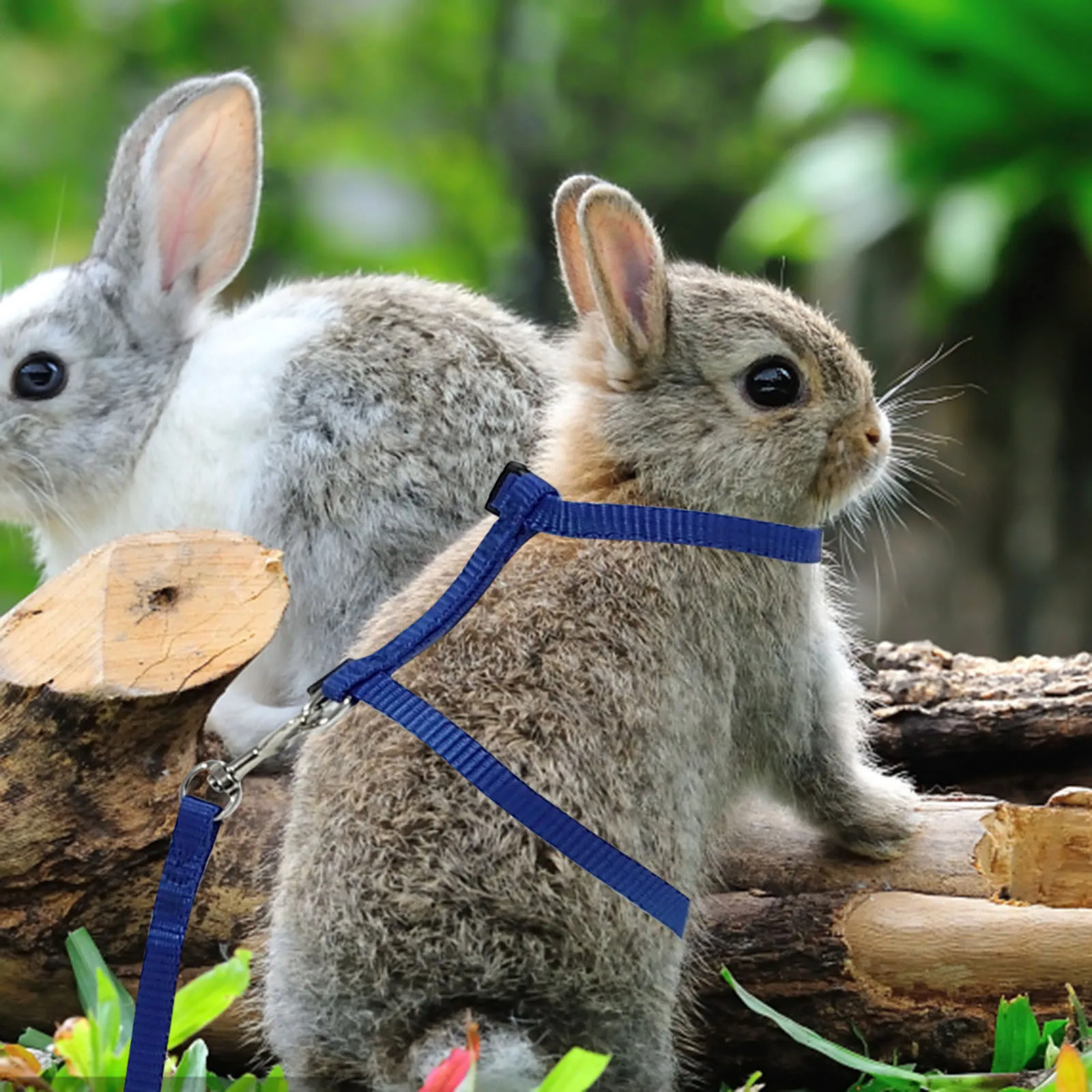 

Rabbit Harness Leash Adjustable Ultra-Soft Lightweight Pet Harness For Small Animals Walking Running Safety Control