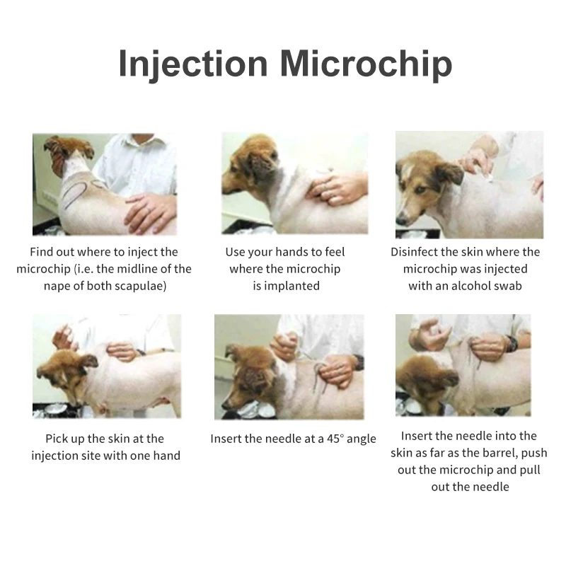 Microchip de identificación de mascotas, jeringa RFID de 2,12x12mm, 134,2 KHz, FDX-B EM4305, Chip de seguimiento para gatos y perros, 1 ud.