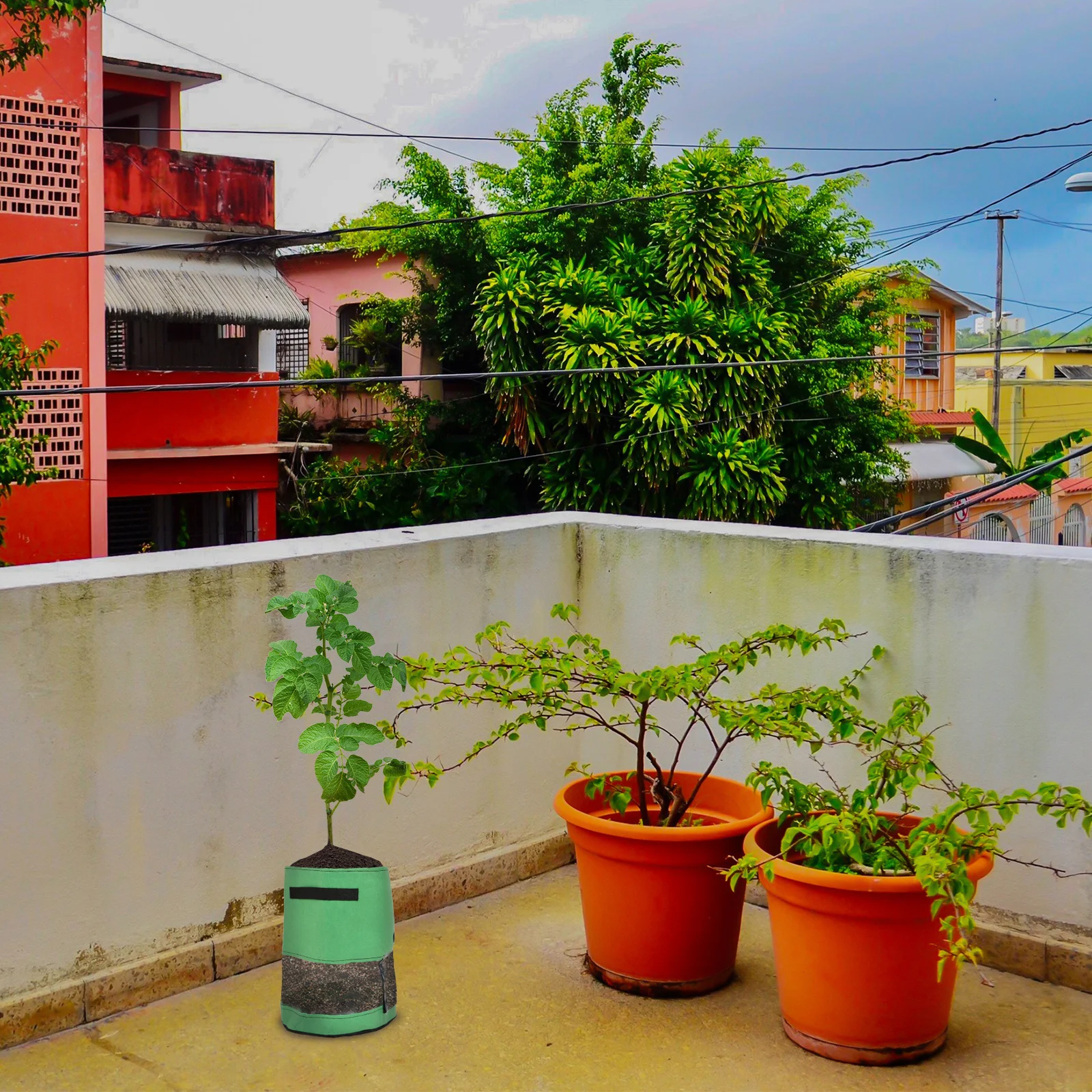 

Breathable Plant Storage Pouch 10 Gallons Non Woven Material Solid Handle Safe Durable Indoor Outdoor