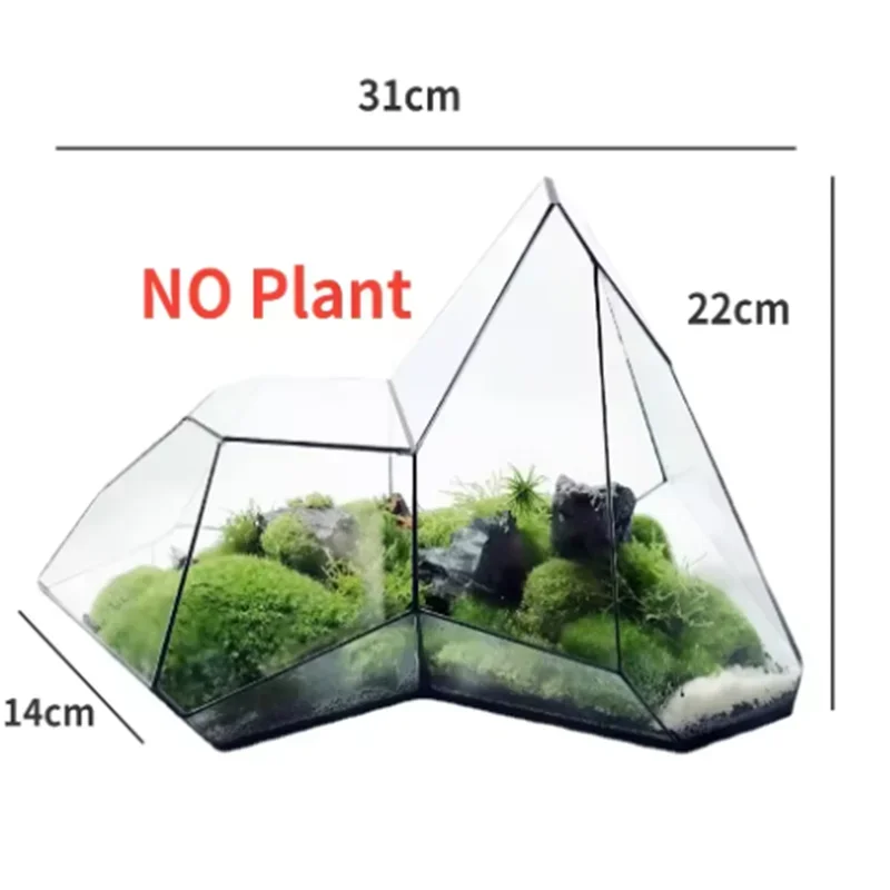 Micro Landscape Planter Moss Rainforest Tank Geometric Glass Flower Room Irregular Ecological Vase Succulent Water Plant Vase