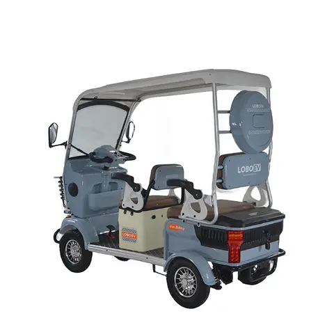 Cheap Price Innovative Design 800W Vacuum Tire Foam Seat Cushion Adult Four Wheel Electric Tricycle with Roof Grey