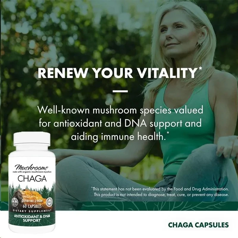 White Birch Mushroom Capsules, Antioxidant and DNA Support, Mushroom Supplement, Tasteless, 60 Capsules