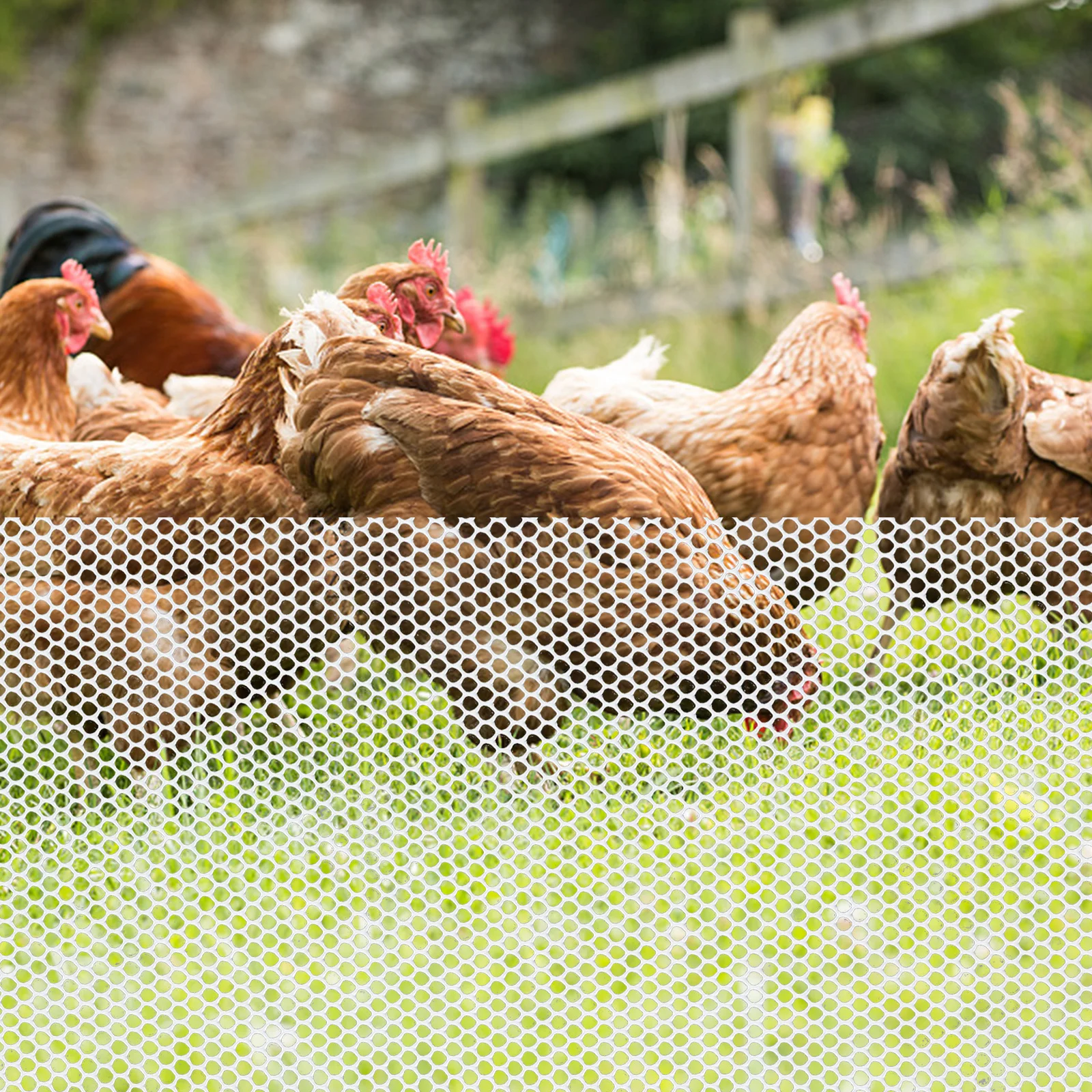 

Garden Mesh Fencing Plastic Net Lightweight Flexible Garden Fence Barrier Netting for Animal Protection Poultry Fence Climbing