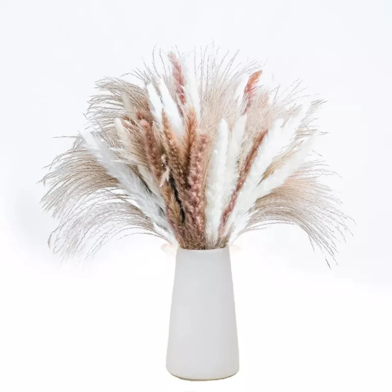 

80pcs Natural Reed Dried Flowers Bouquet Pampas Grass Artificial Flowers Wedding Decoration Fleurs Sechees Christmas Home Decor