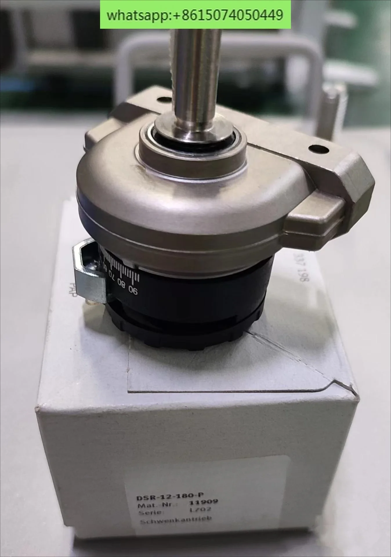 اسطوانة التأرجح الدوارة DSR/DSR L 12 16 25 32 40-180 - P - FW