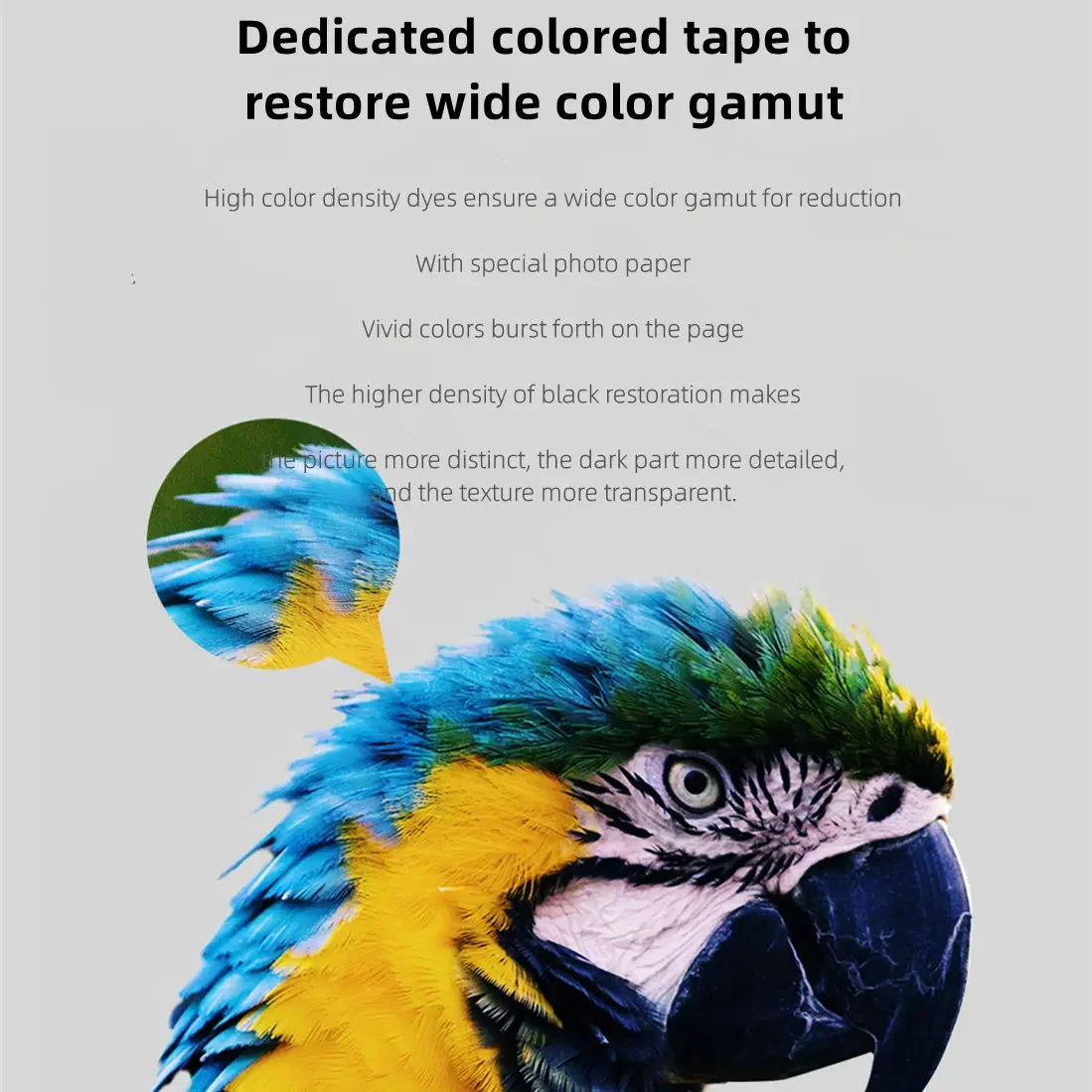 Xiaomi Mi Home Photo Printer Dedicated 6-inch Back Self-adhesive Photo Paper Colored Tape Set HD Protective Film Photo Papers