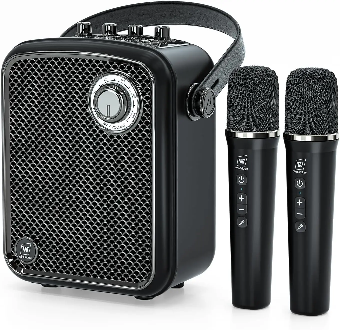 

70W PA Karaoke Speaker With Original Sound Pro System