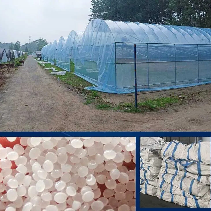 2025Commercial Farming Plastic Green House Metal Frame Structure Single Span High Tunnel Agriculture Greenhouse