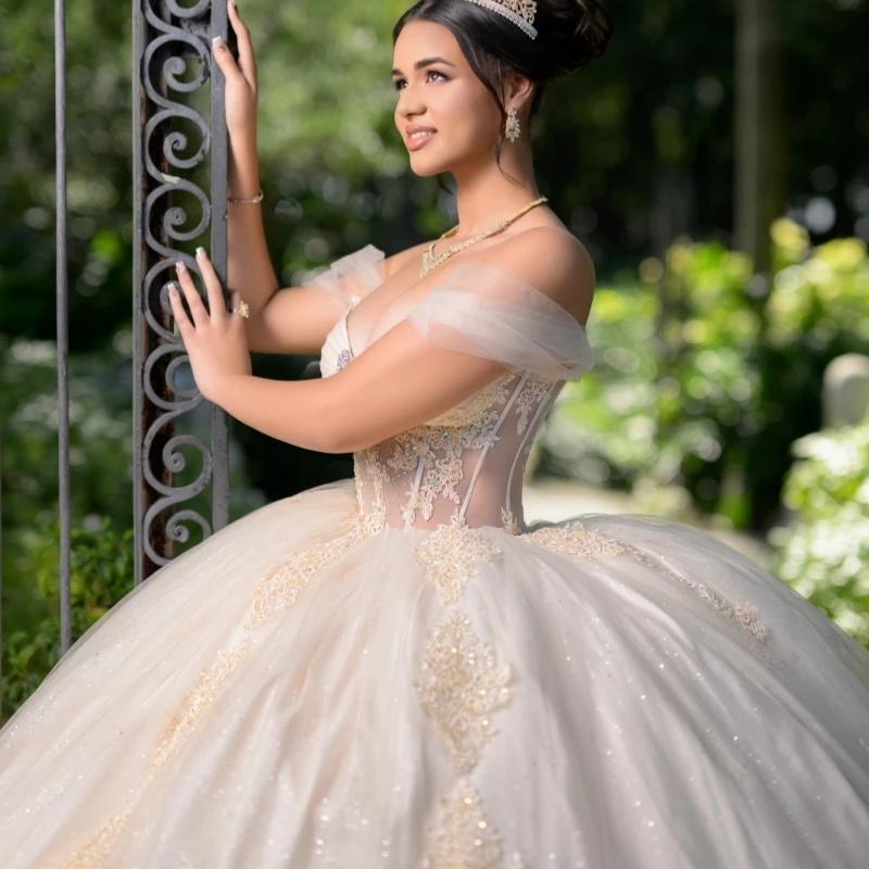 

Light Champagne Shiny Princess Sweet 16 Dress Dress Quinceanera Dresses Applique Lace Beads Tull Party Birthday Vestidos 15 De