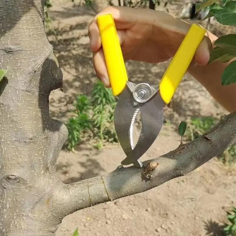 1Pcs Professional Orchard Ring Barking Knife Sharp Peeling Stripping Cutter for Garden Branch Pruning Grafting