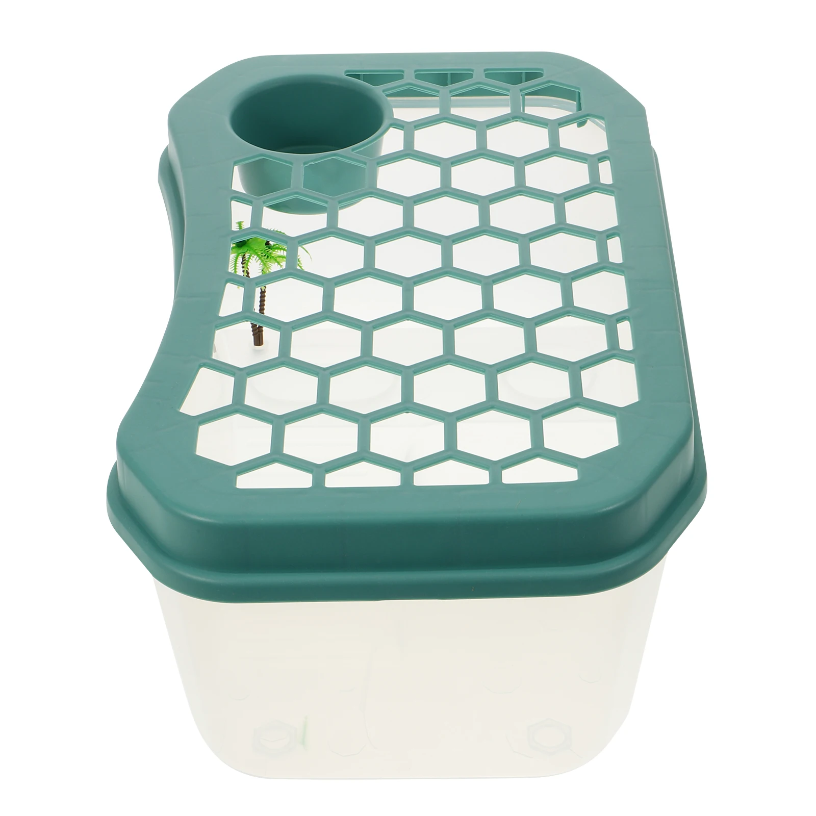 

Plastic Turtle Terrace Tank for Small Turtles Aquatic Habitat Desktop Starter Accessories Reusable Container Breeding Box Pet