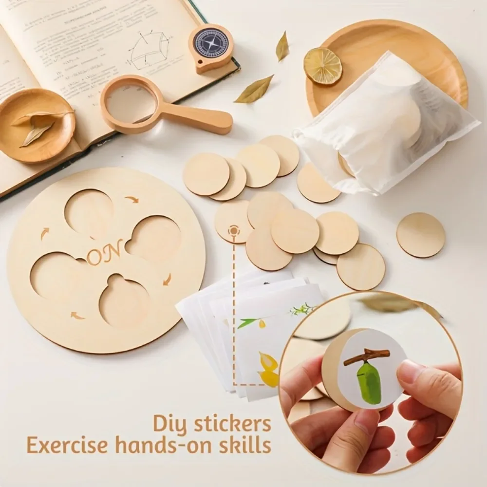 1 Satz Holz Life Cycle Board Montessori Kit, Wachstums zyklus rundes Stück kognitiv, Kinder biologische Wissenschaft Lernspiel zeug