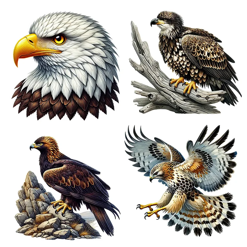 

KT90# Bird of Prey Sticker Stickers,Wall Toilet Decal Removable, Vinyl Car Sticker for Bathroom Decor, Outdoor Indoor Use