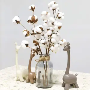 Dry cotton flower for artificial plants, natural natural floral branch, simple craft flower, 10 heads, 1 pc 10 Main Sales Natural Dry Flowers - №6