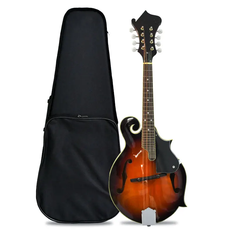 F Style Mandolin, 8 String Acoustic Instrument, Sunburst Finish, Includes Case, Professional Quality Sound