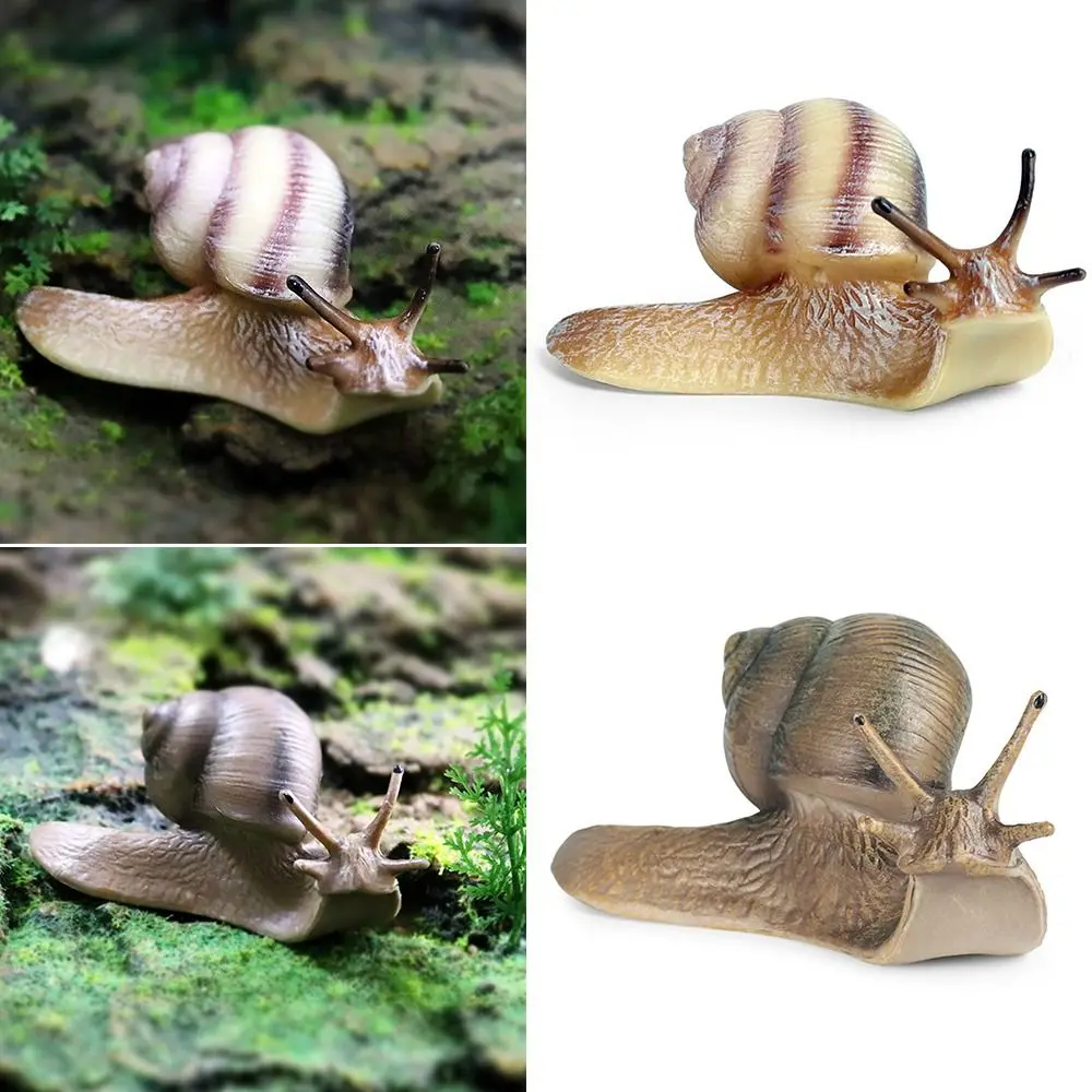 Home Office Decor Garden Decor Micro Landscape Decor for Fairy Garden Snail Figurine  Snail Statue Mini Animal Figures
