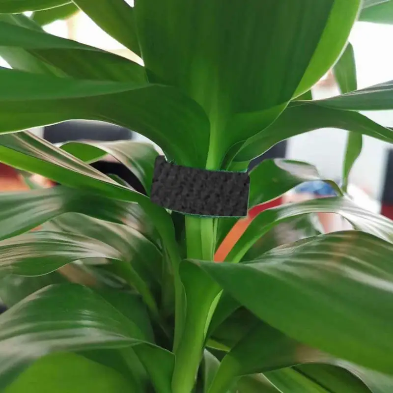 Gardening Tape Plant Twist Tie Adjustable Thickened Nylon Reusable 16.4 Ft X 0.59 Inch Supports Plants And Vines For Tree