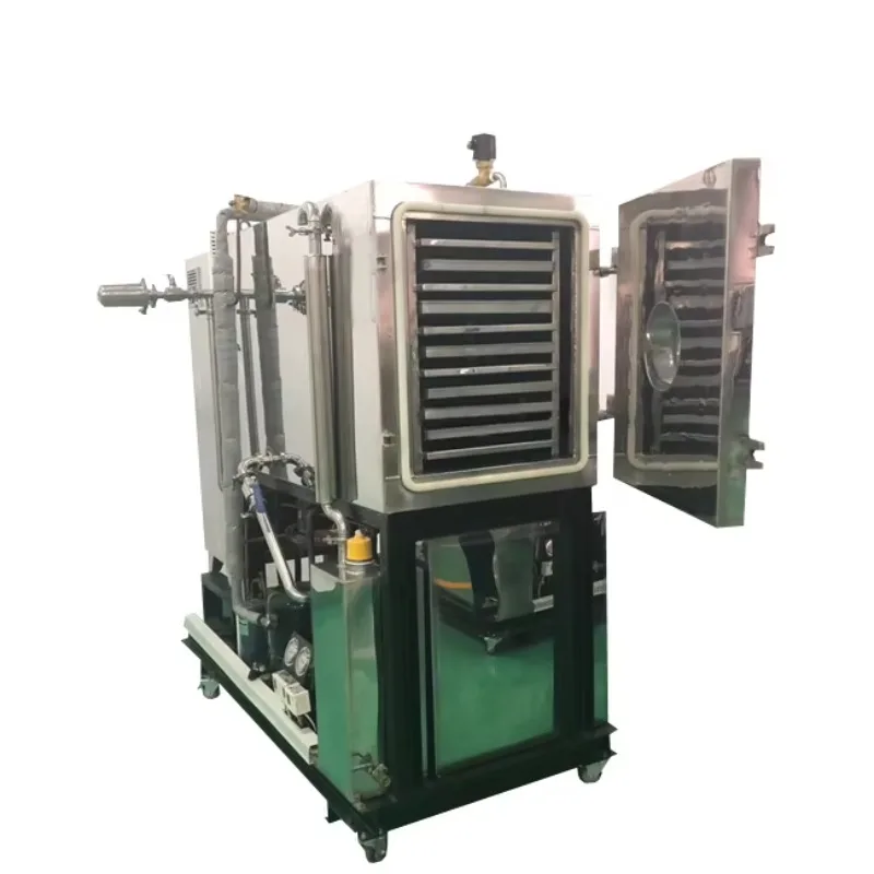 Industrial Freeze Drying Machine 10kg Capacity Lyophilizer for Carambola Fruit Preservation Custom