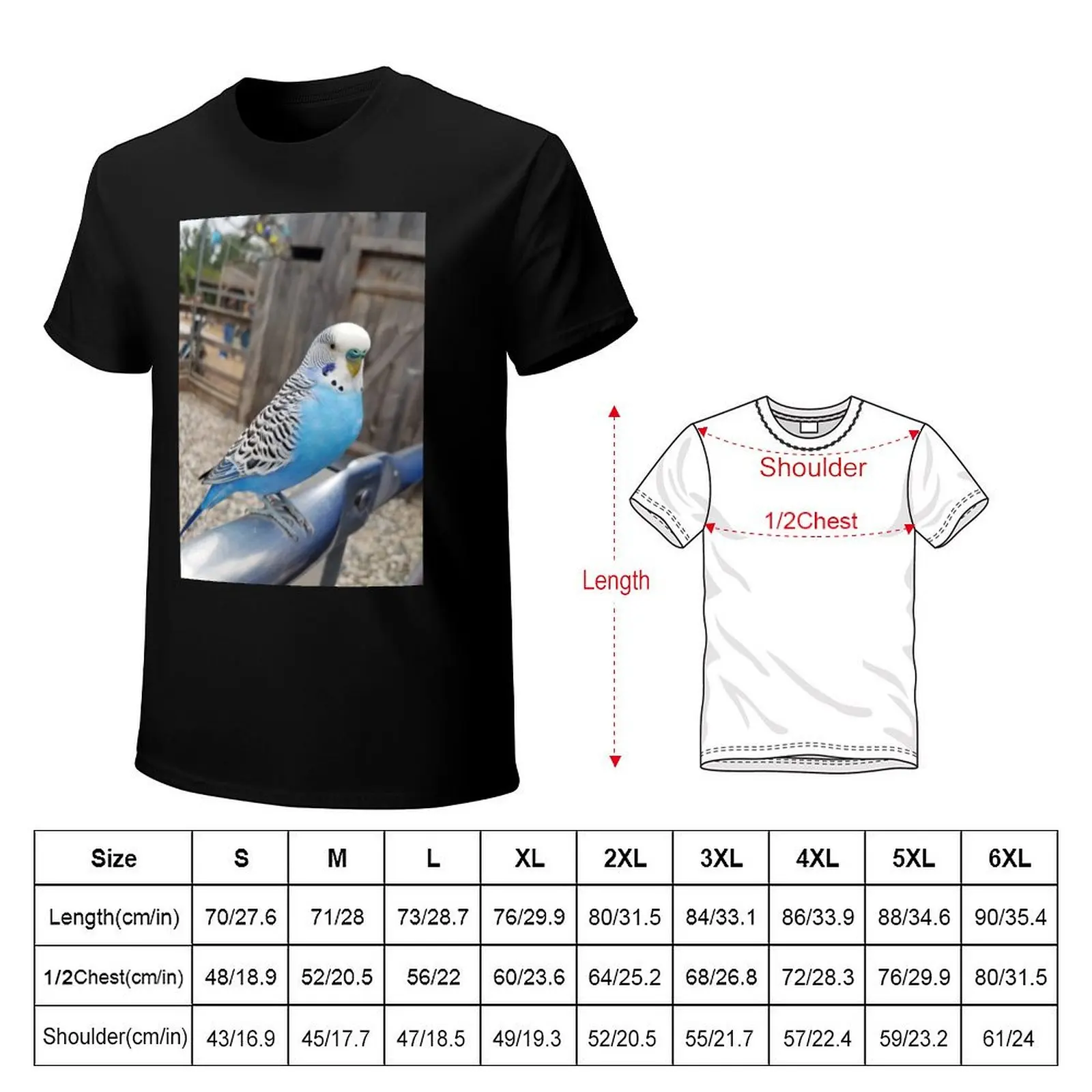 Blue & White Parakeet Sitting T-Shirt Stylish Print Short Sleeve Tee