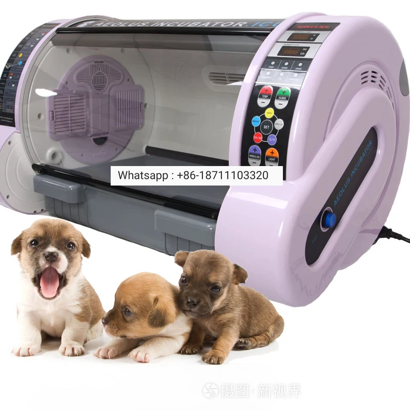 

pet brooder puppy Incubator hot Sale Veterinary Intelligent automation Medical Equipment Dog Cat Hatcher Animal Brooder factory