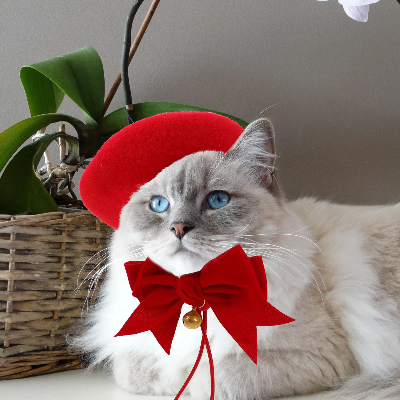 

Pet Decoration Set Beret for Dogs Birthday Party Cap Bow Tie Collar Cat with Carnival Hat Embellishments