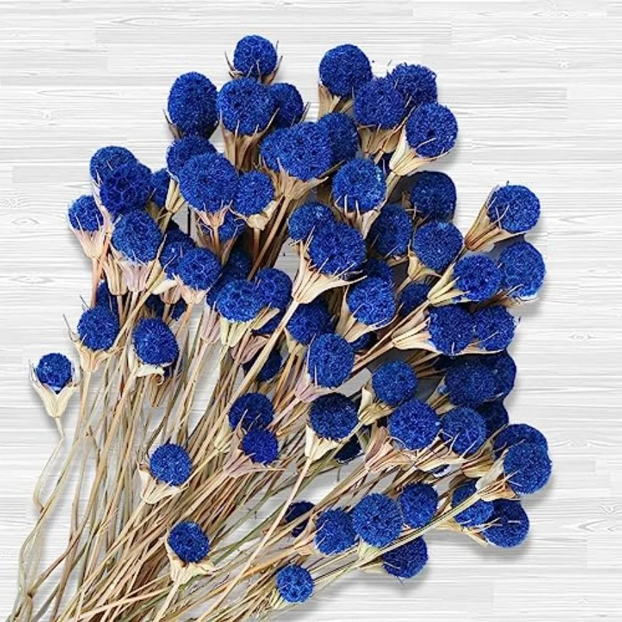 

40 Pcs Natural Blue Dried Thistle Flowers Bouquet, Bulk Dried Craspedia Billy Balls Button Plant, 17'' DIY Floral Arrangements