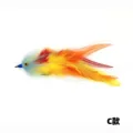 Type C (single)