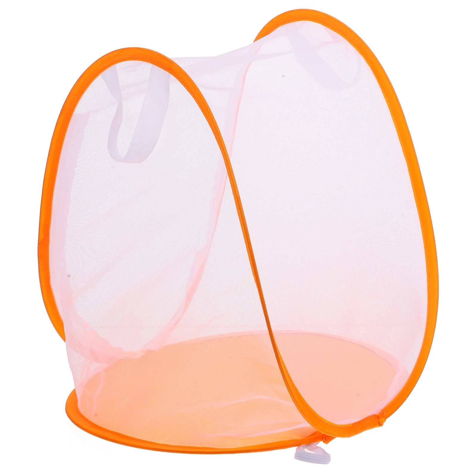 대형 나비 사육장 메쉬 접이식 곤충 서식지 과학 실험용 뒷마당 탐험 투명 디자인