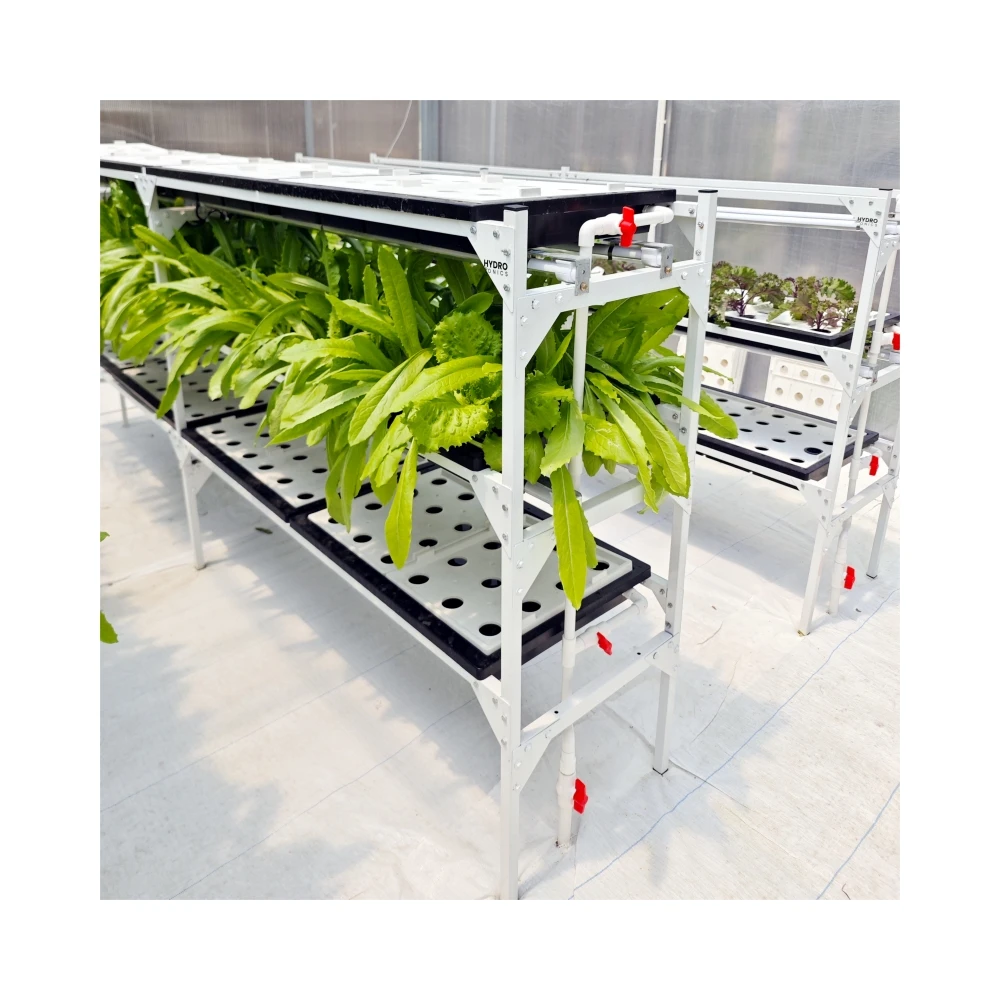 Hydroponic DWC Indoor Multi-layer Hydroponic System With Lights Plastic Floating Tray Growing Kit for Greenhouse Lettuces Fruit