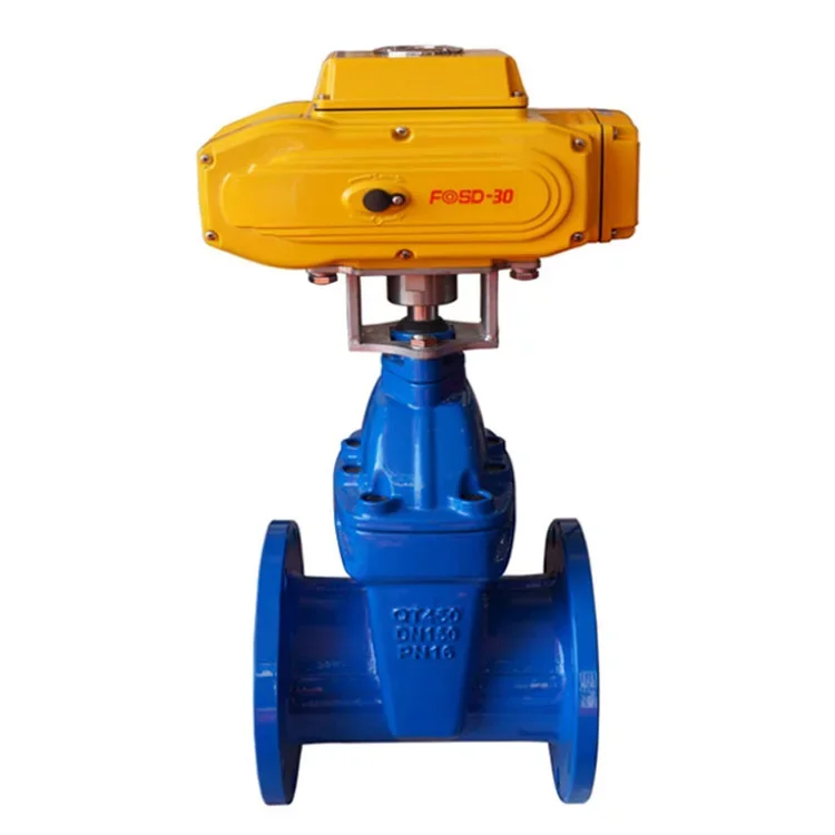 Electric SS316 Stainless Steel 4 Inch Gate Valve