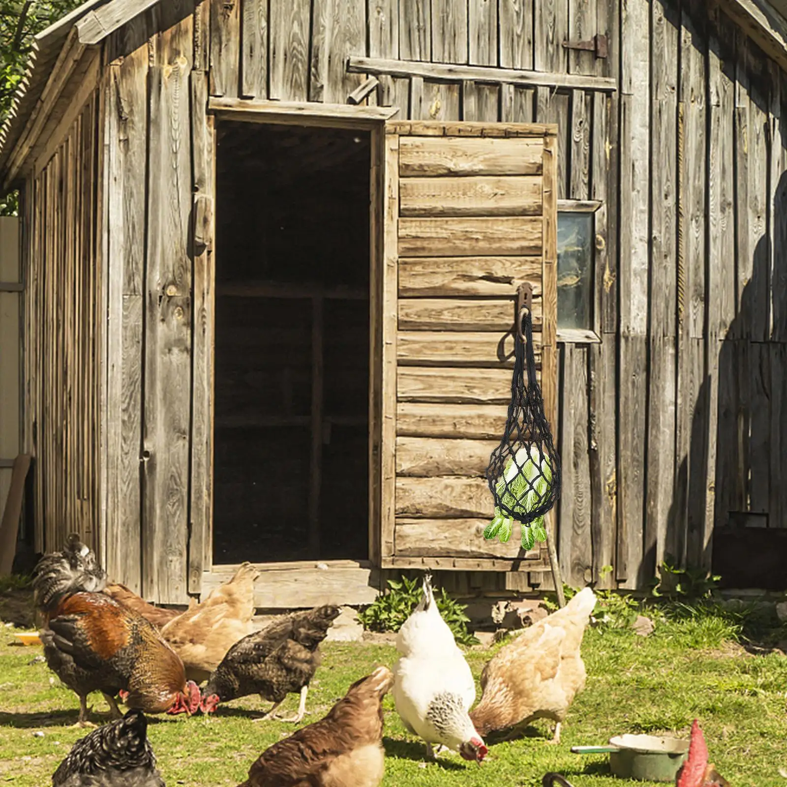 Chicken Feed Net Feeding Mesh Bag Vegetarian Diet Hay Veggie Holder for Chickens Parrot Food