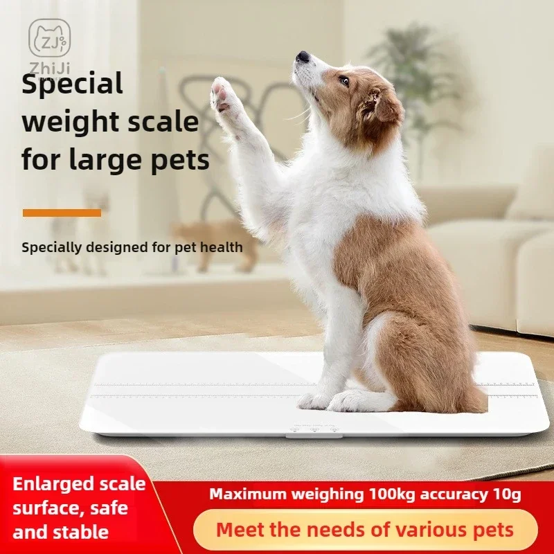 Large Pet Scales Pet Hospital Electronic Scale 100kg Large Pets Scale Precision Weigher