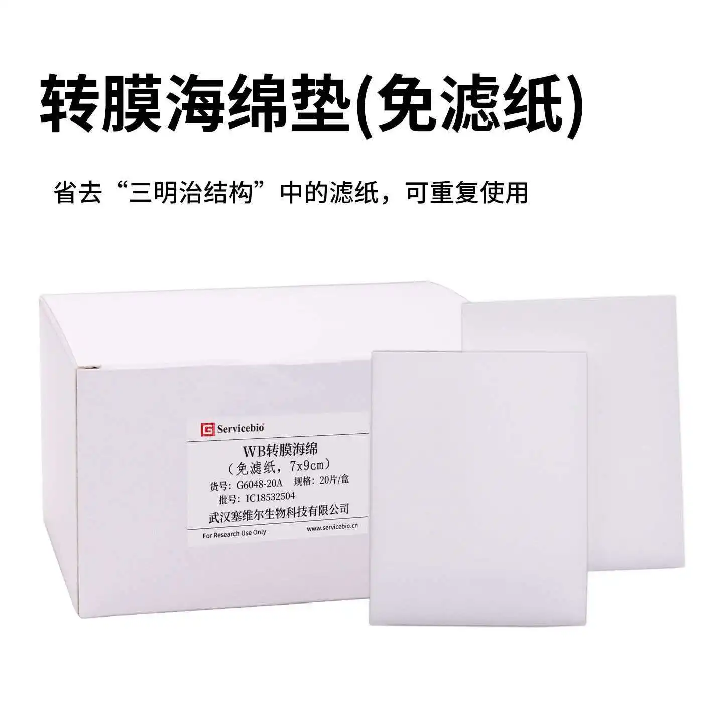 

WB transfer sponge without filter paper wet transfer printing cotton electrophoresis experiment Western blot transfer sponge pad