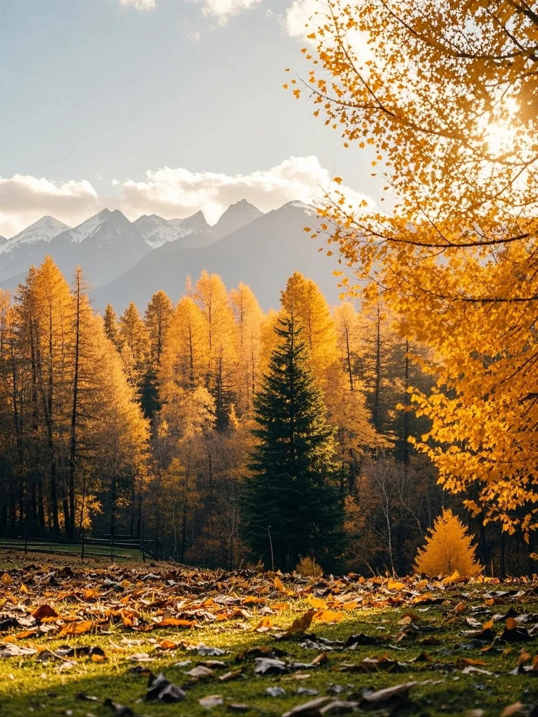 

12.3 Inch Multimedia Android 13 For Porsche Panamera 2010-2017 Car GPS Navigation Multimedia Player Parts Touch Screen Head Unit