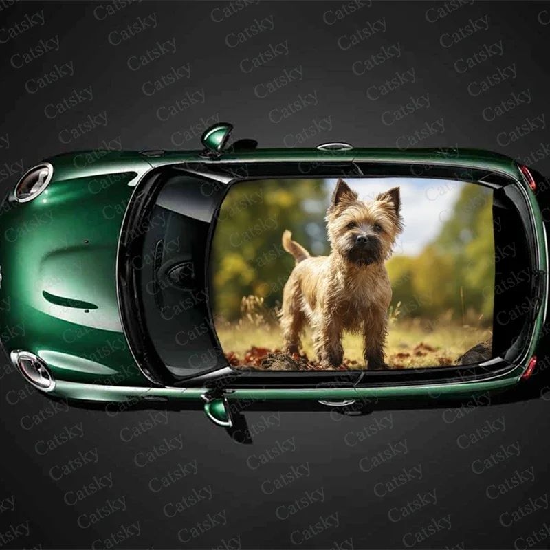 

Cairn Terrier Dog Car Roof Sticker Wrap Racing SUV Accessories Packaging Painted PVC Custom Car Graphic Decal