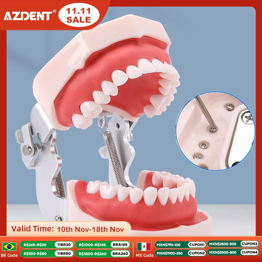 Dental Resin Model Removable Training Typodont AZDENT Teeth Model for Dentists Practice Adults Children Dentistry Equipment