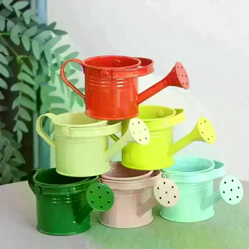 Metal Watering Can Garden Flower Kettle Mini Small Water Spraying Pot Large Capacity For Kids Adult New