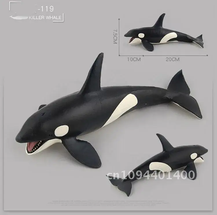 Jouet de simulation d'animaux marins pour enfants, grand requin, baleine, figurine, béluga, mégalodon dos, modèle