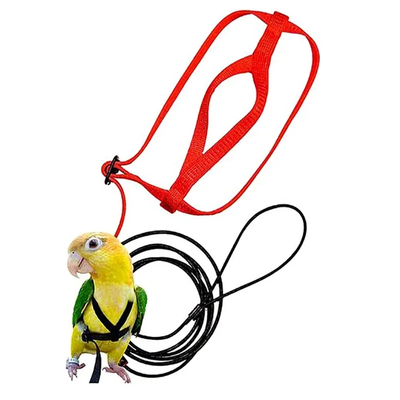 Bird Leash Parrot Flying Rope Parrot Harness Bird Harness Leash