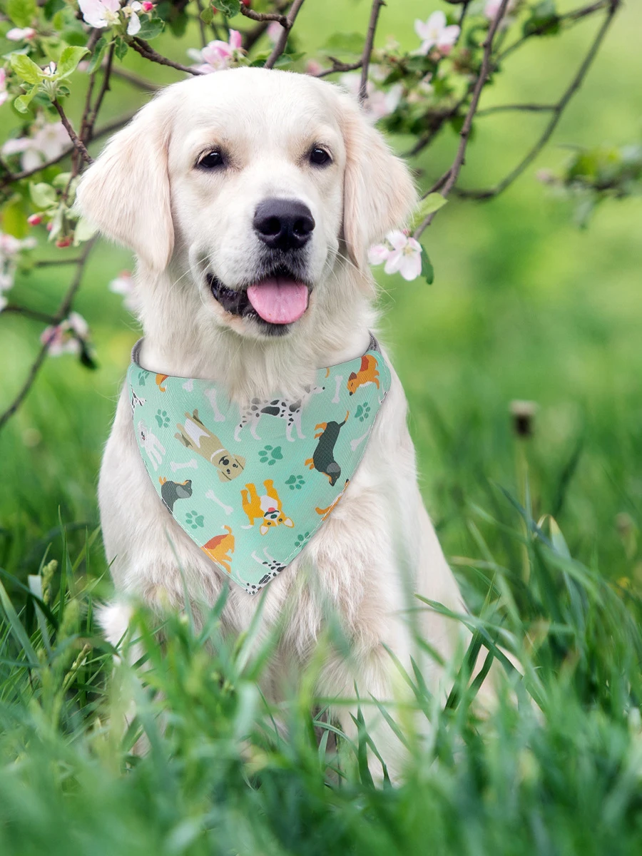 Bandana réglable en coton pour animaux de compagnie, bavoir imprimé de dessin animé pour chien et chat, pour usage quotidien, écharpe triangulaire, vêtements de cou pour chiot et chaton