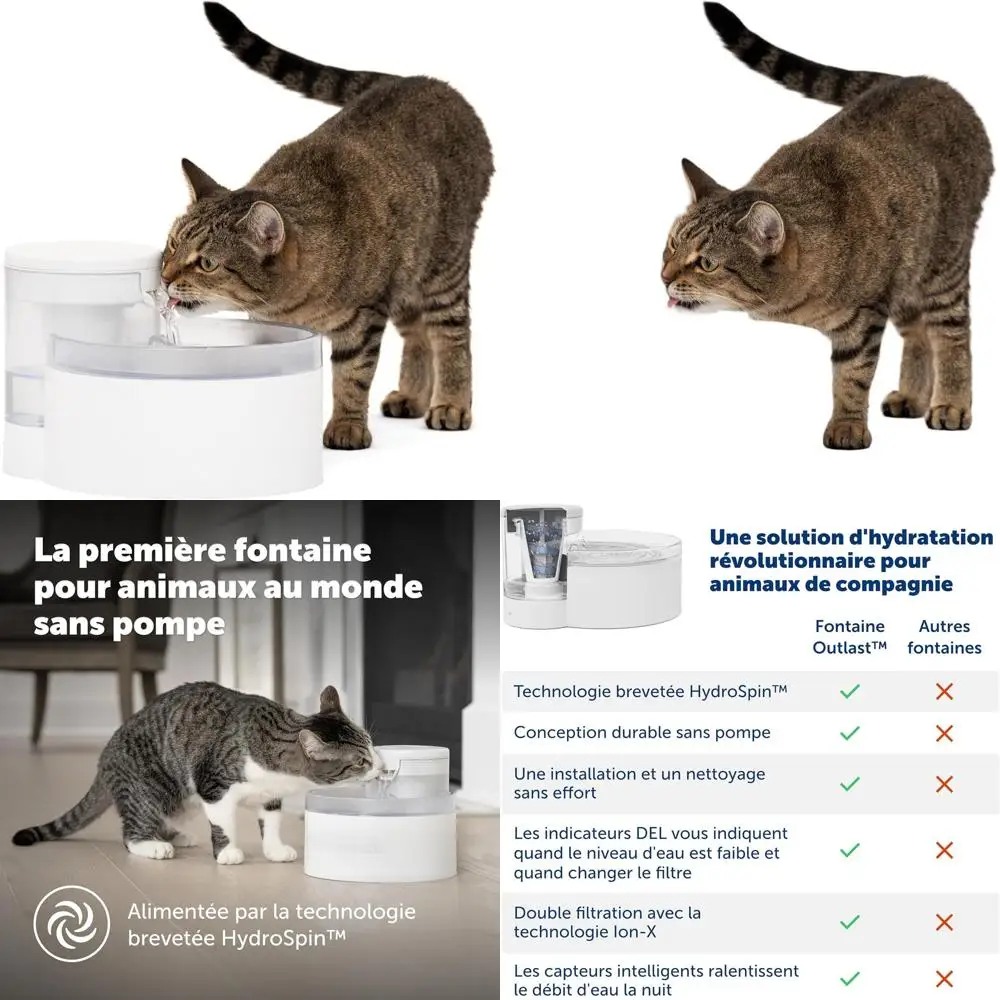 

Automatic Pet Water Dispenser - Hydration Encouragement - 60 oz Capacity - Dishwasher Safe