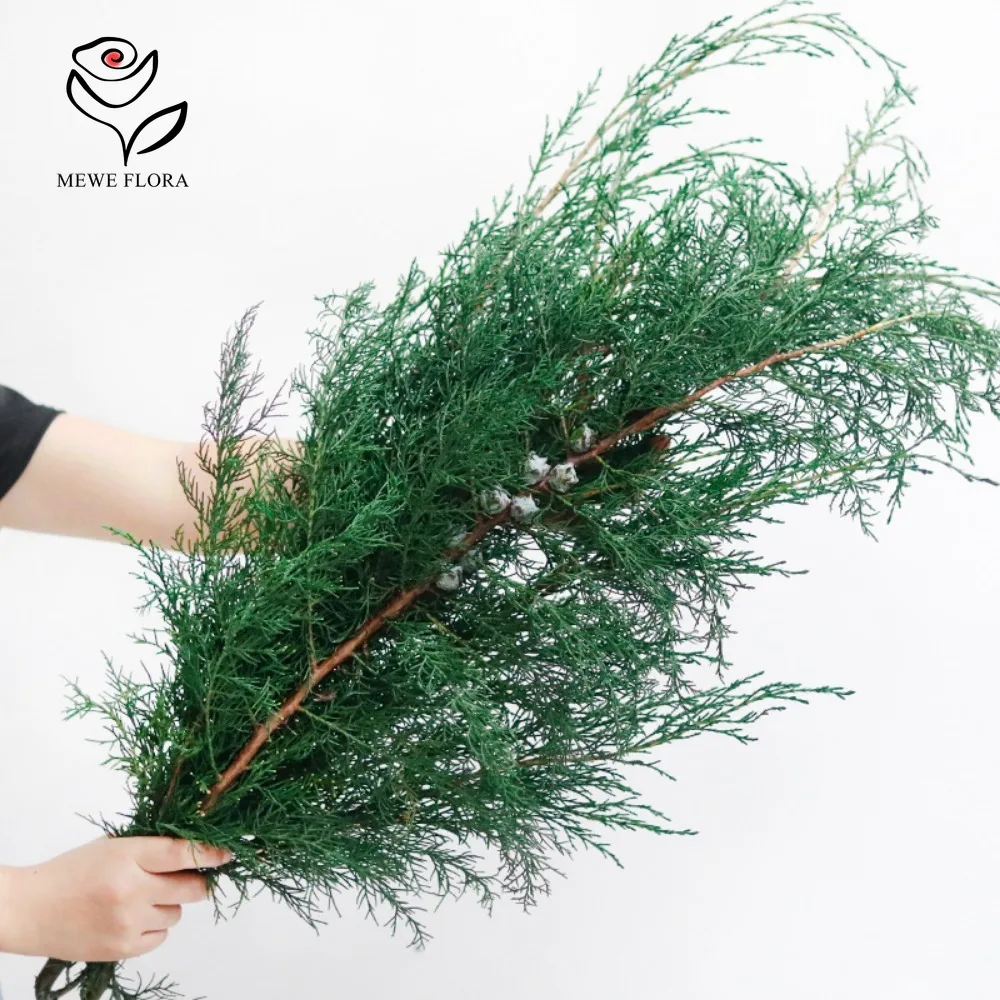 Pine and Cypress Tree Dried Eternal Flowers Christmas Trees Decorative Materials Pine Branches Green Plants for Home Decoration