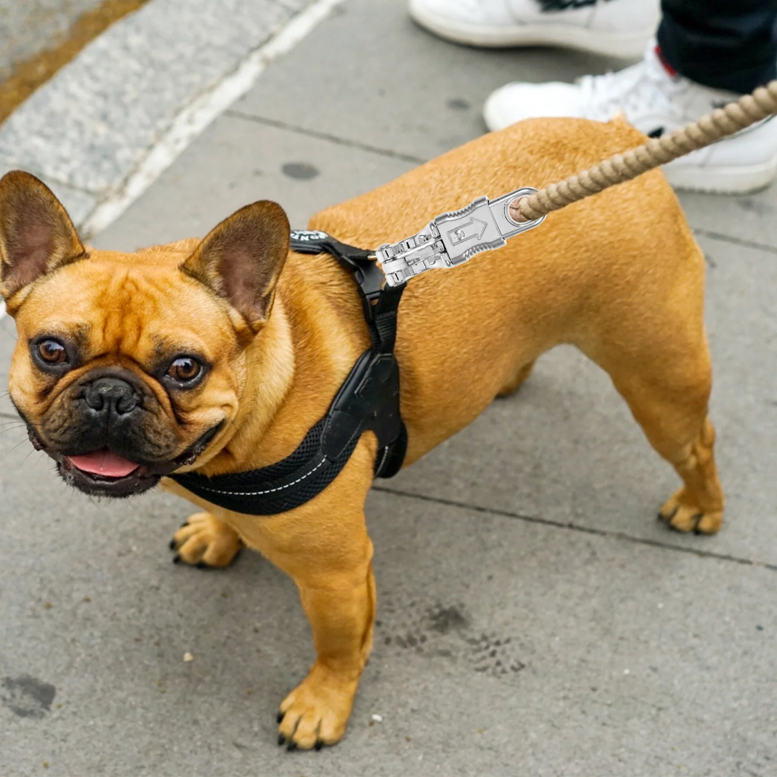 

2Pcs Dog Leash Clips Metal Snap Hooks Quick Release Buckle Dog Collar Hardware Backpack Snap Hooks Pet Leash Supplies