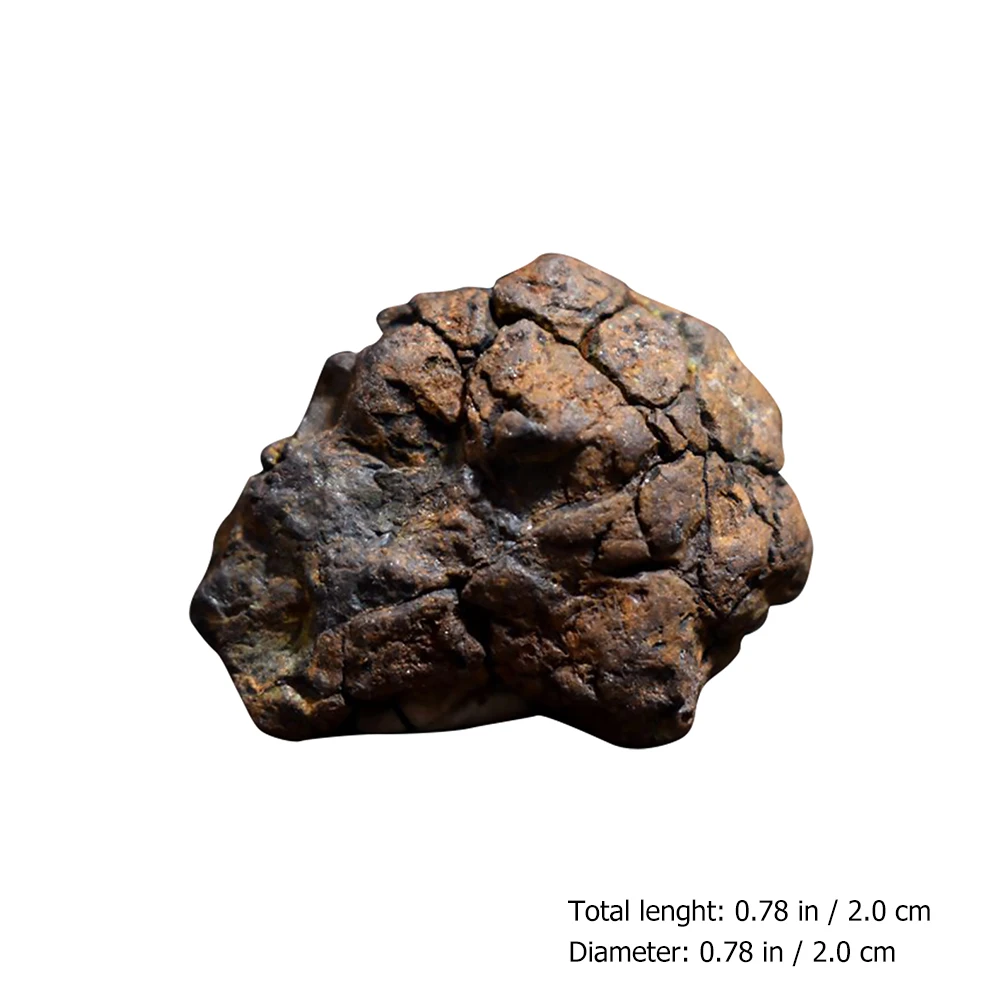

1pcs Lithosiderite Sample Science Education Material Natural Safe Teaching Tool Desktop Ornament Meteorite Adornment Educational