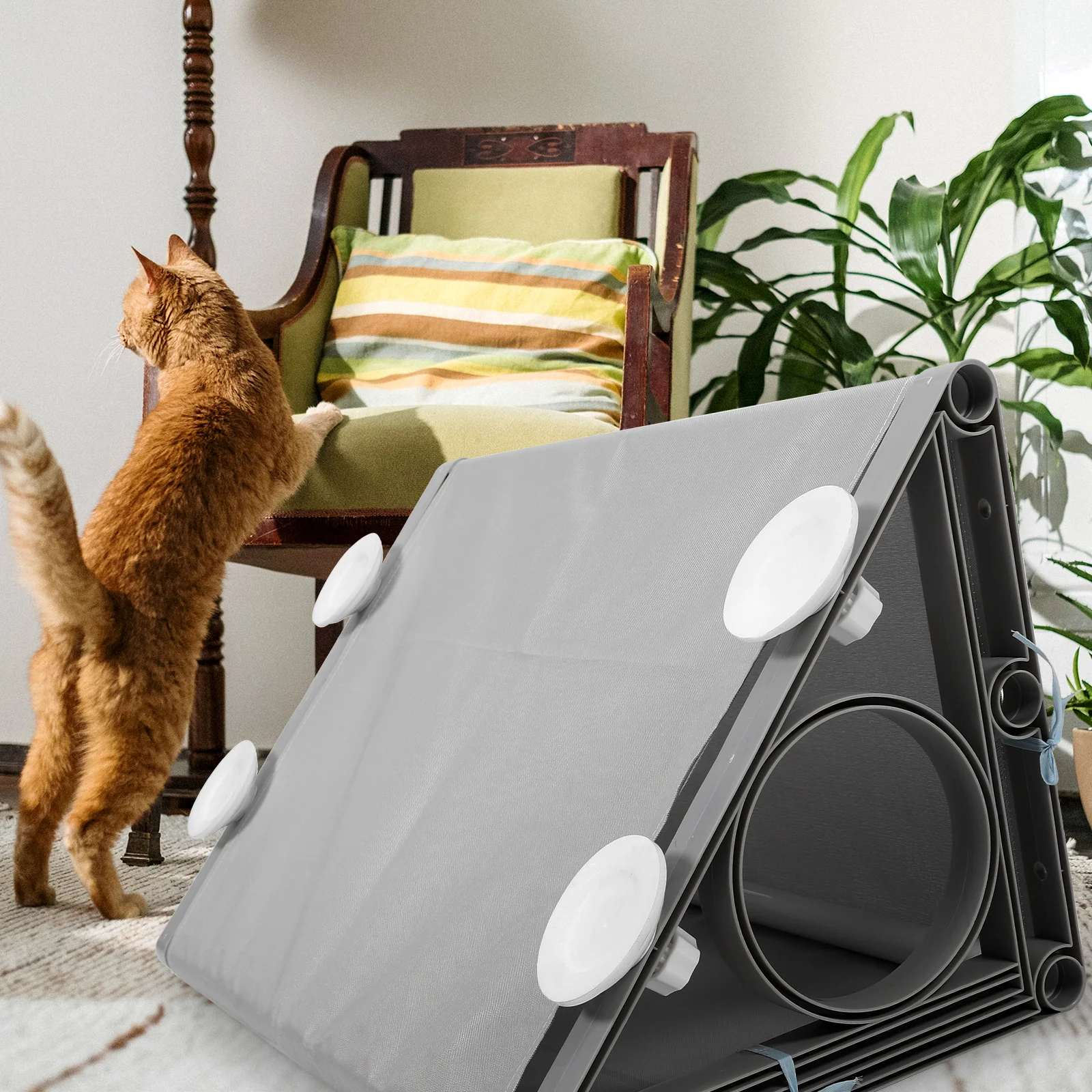 

Cat Tunnel Large Size Oxford Cloth Indoor Outdoor Pet Toys Rabbit Tunnels Outdoor Cat Tunnel Durable Safe Play House