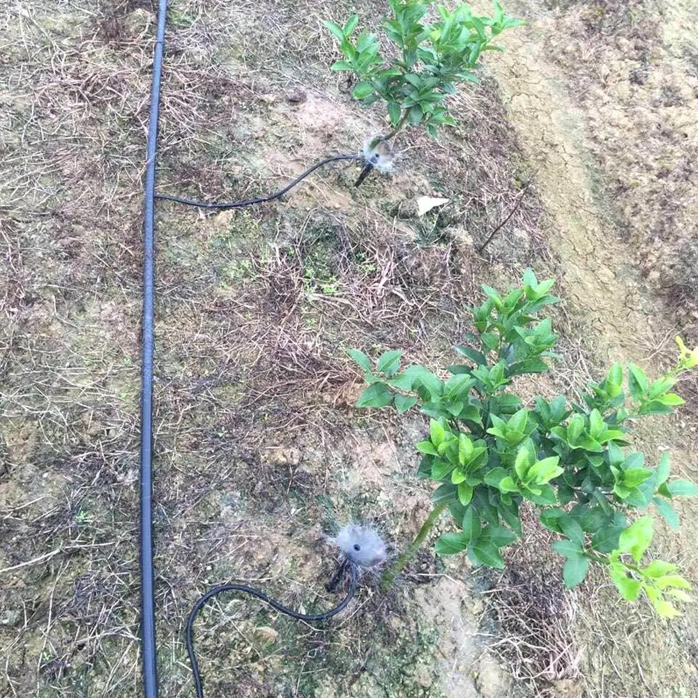 Auto Drip Irrigation Watering System Automatic Watering Spike for Plants Flower Indoor Household Waterers Bottle